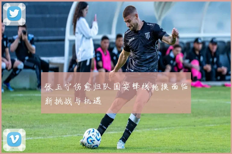 张玉宁伤愈归队国安锋线轮换面临新挑战与机遇